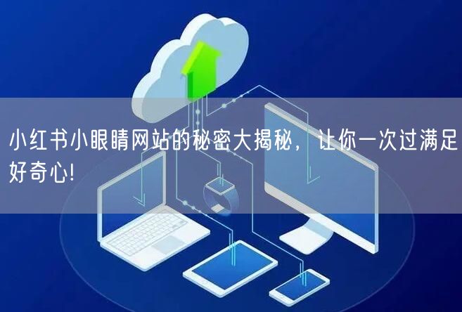 小红书小眼睛网站的秘密大揭秘，让你一次过
